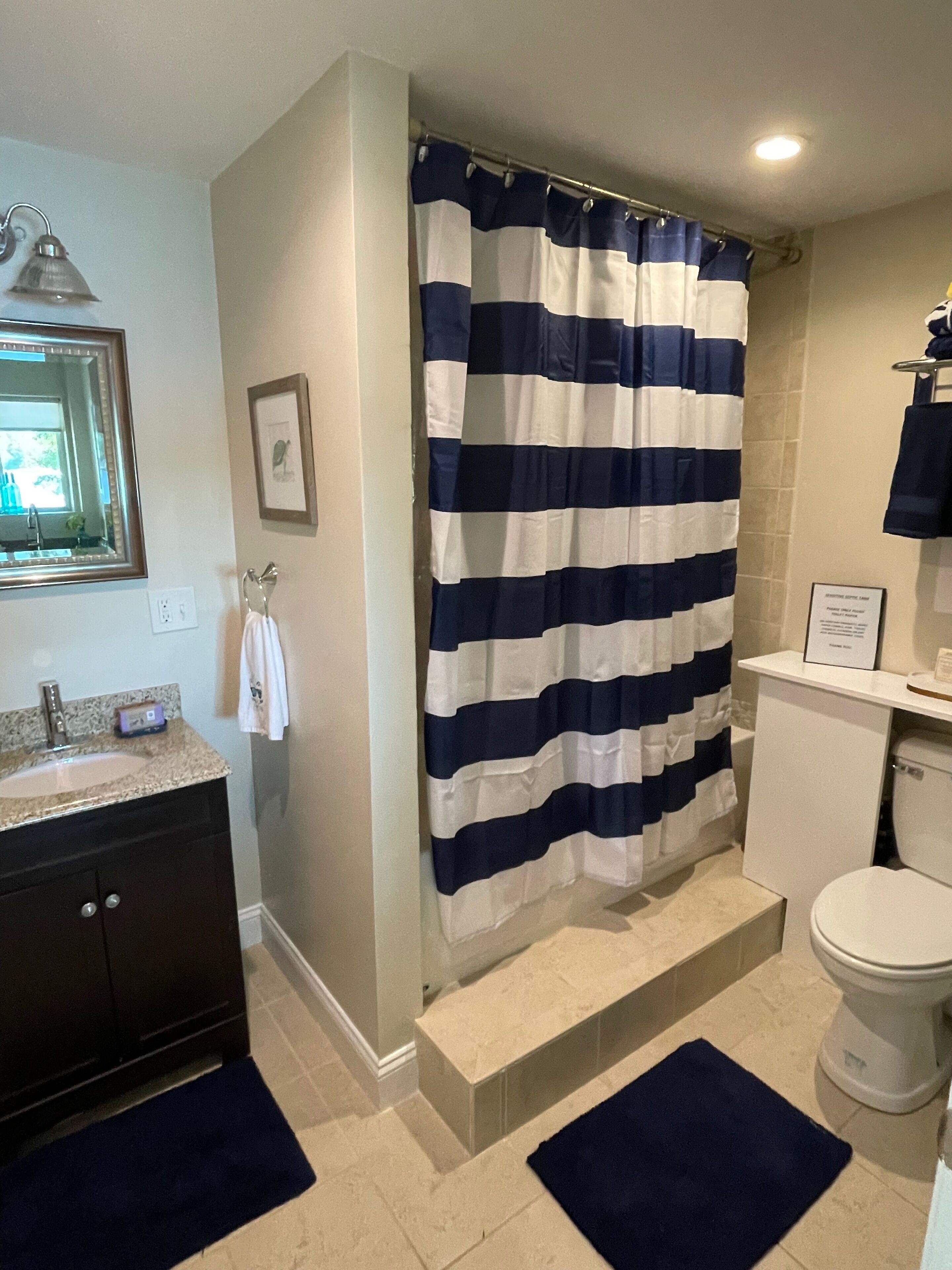 A bathroom with a striped shower curtain, a sink with a mirror, a toilet, and a framed picture on the wall.