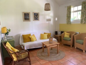 Smart TV, stereo - Chalet with large fenced garden at the foot of the dunes, pets allowed (Mimizan)