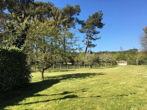 Overnattingsstedets uteområder