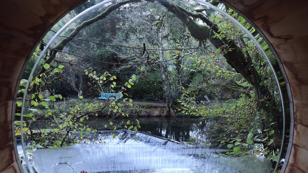 A circular window with a view of a forested area and a body of water. - The Cube is a very private spot for an unforgettable experience by the riverside (Frénois)
