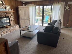 智能電視、壁爐、DVD 播放機、書籍