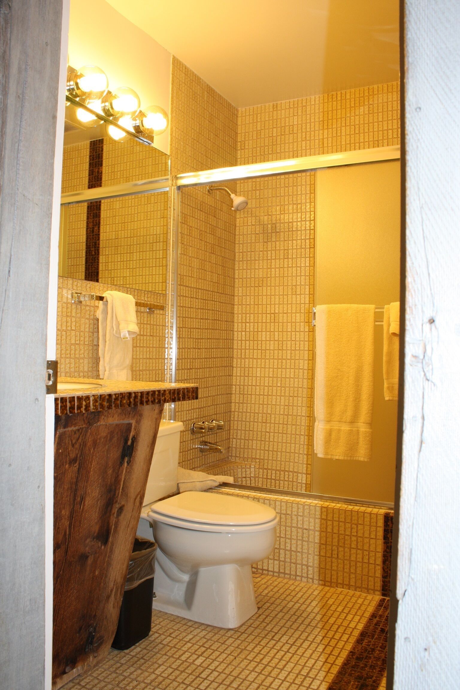 Located Downtown Aspen, 5 Blocks to Center of town, 2 Blocks to Skier Shuttle