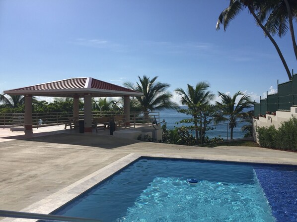Ein Pool mit freiem Blick auf den Ozean, einer überdachten Sitzgelegenheit und Palmen.