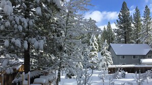 Un paisaje nevado con una casa y árboles.