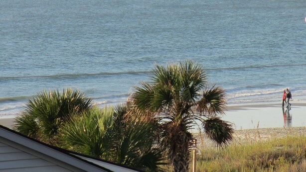 A beach view with palm trees and a clear sky.