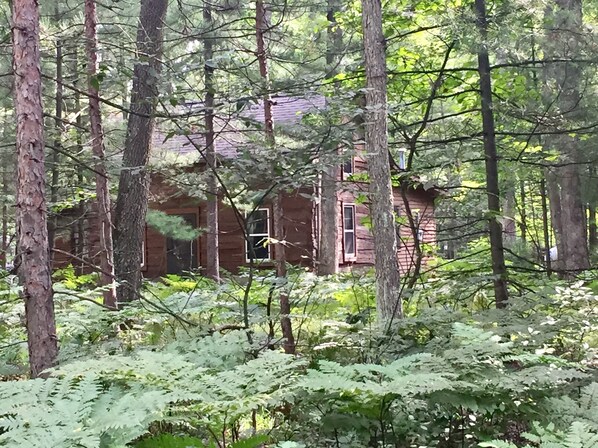 المنشأة من الخارج