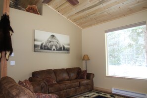 TV, DVD player, books, video library