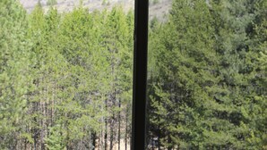 A bathroom with a window view of a forest and mountains. - More than just a cabin... Experience Montana Adventure (Trout Creek)