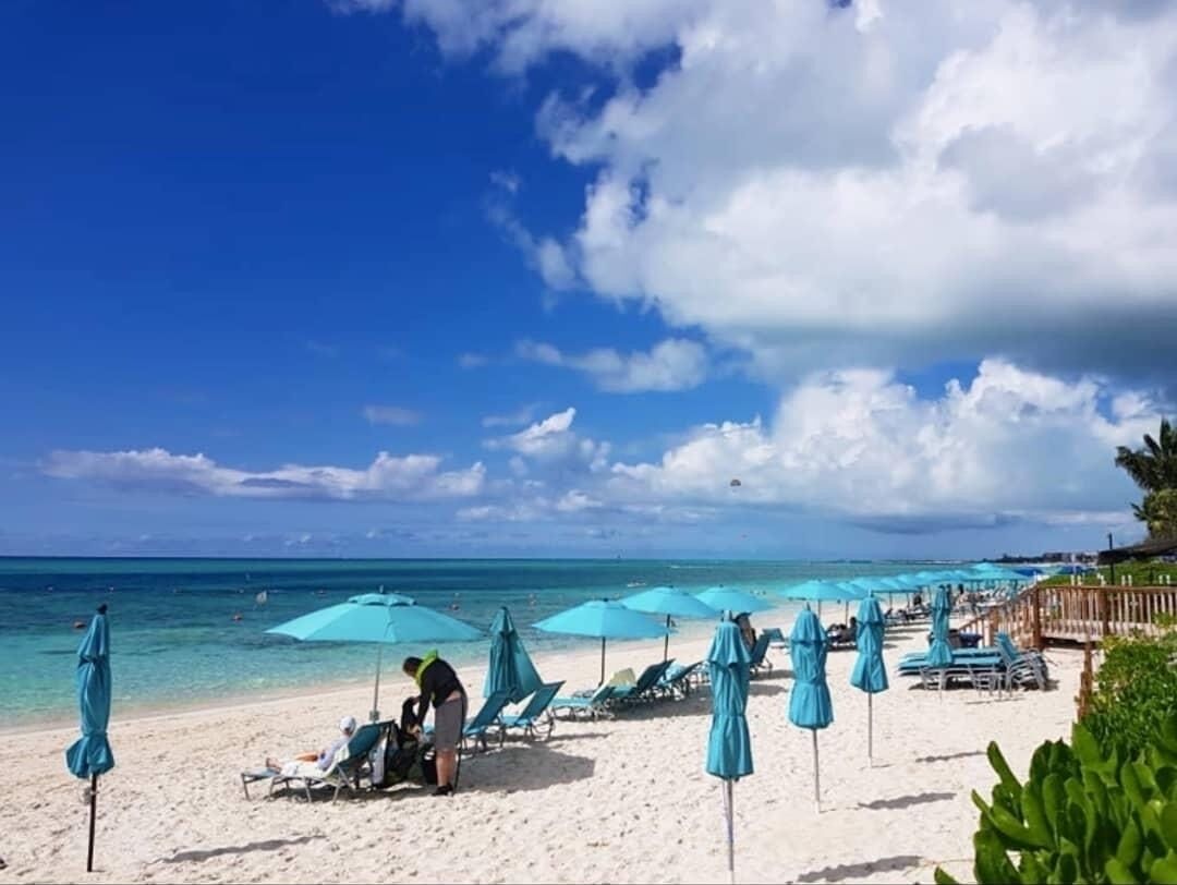 A beach with multiple blue umbrellas and lounge chairs, a sandy shore, and a clear blue sky.