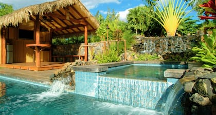 Amazing House with Pool, Spa, Cabana & More Kihei Wailea Area