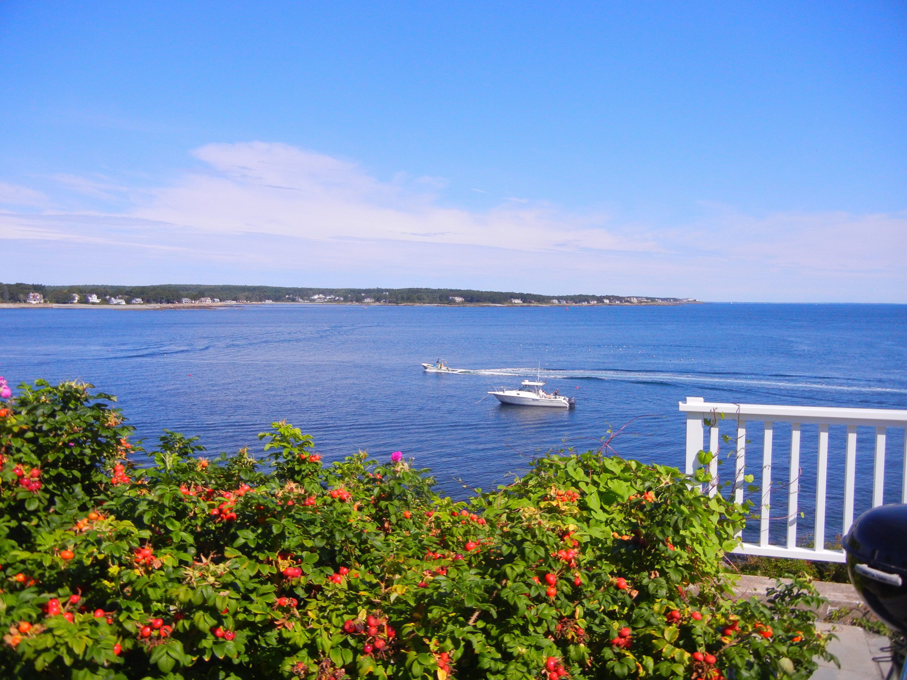 A coastal view with a boat on the water, greenery in the foreground, and a clear sky.