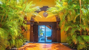 A tropical entrance with a brick pathway leading to a glass door, surrounded by lush greenery.
