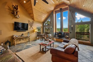 TV connectée, cheminée, jeux vidéo, Netflix