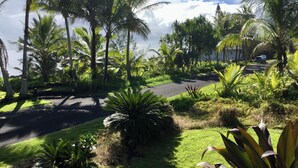 Ein üppiger tropischer Garten mit Palmen, einem gepflasterten Weg und Blick auf das Meer.