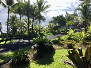 Un exuberante jardín tropical con palmeras, un sendero pavimentado y vista al mar.