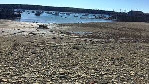 A rocky beach with boats in the water and a dock in the background. - Harbor/🦞 Pound Access & Views from Large Deck (Owls Head)