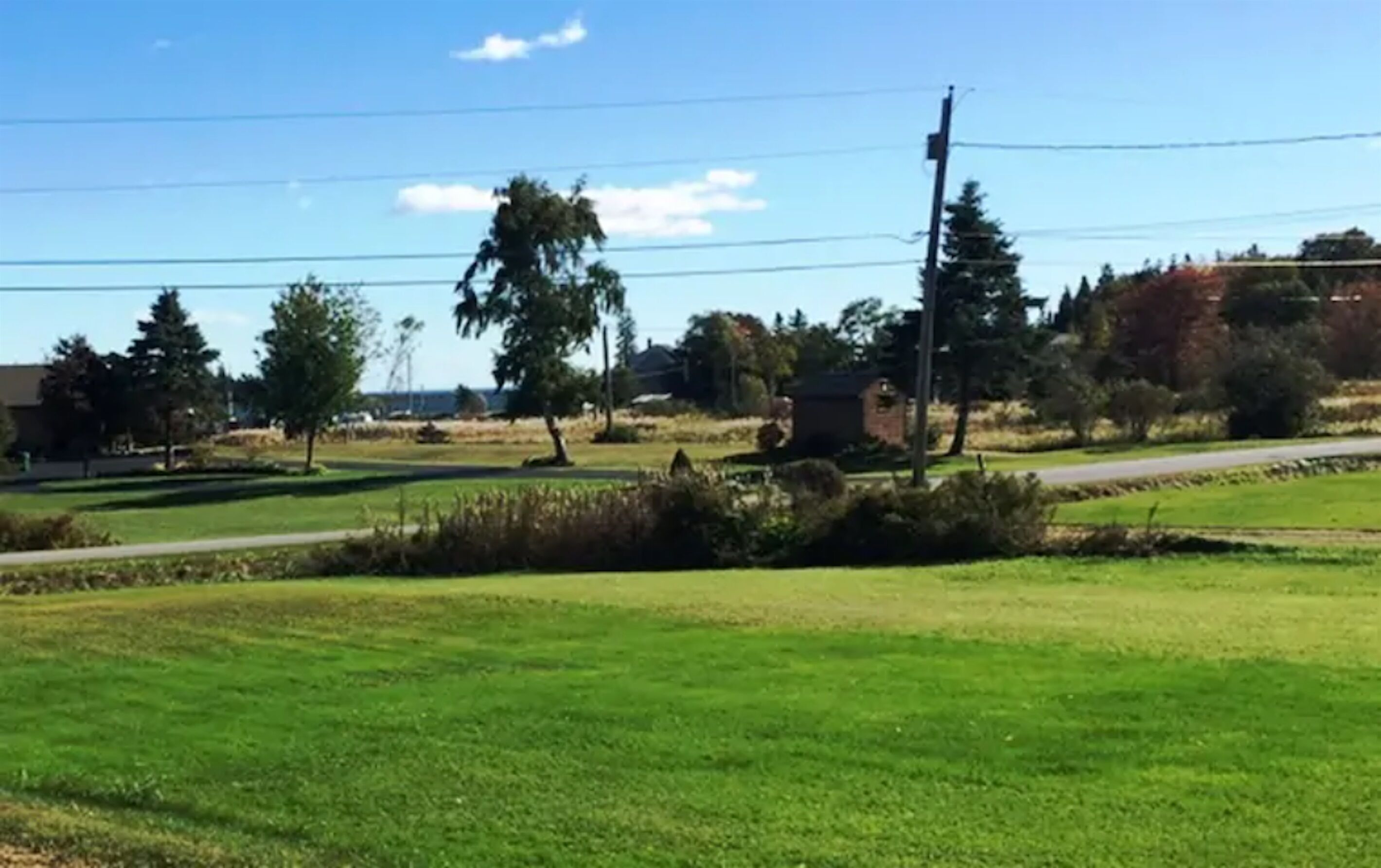 A rural landscape with a grassy field, trees, and a road.