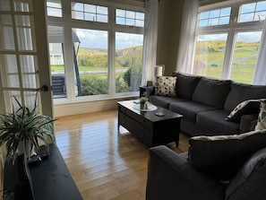 Smart TV, chimenea, reproductor de DVD y tenis de mesa