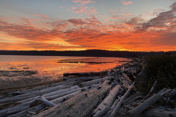 On the beach, sun loungers, beach towels
