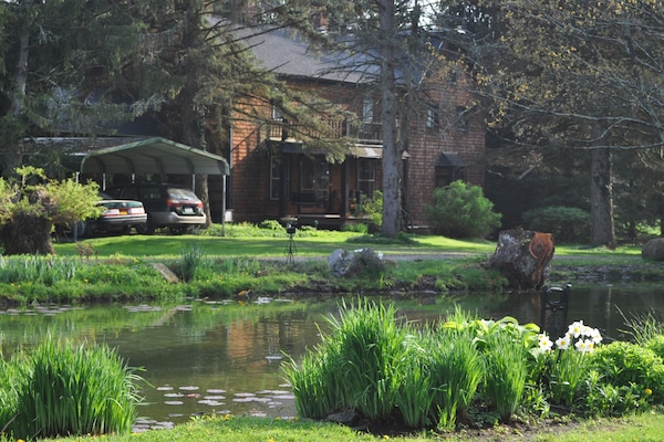 THE MANOR HOUSE AND GARDEN POND