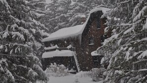 Uma cabana rústica cercada por árvores cobertas de neve.