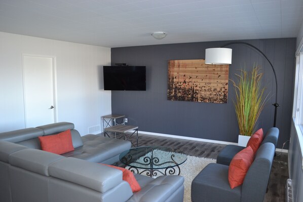 TV connectée, cheminée, livres, chaîne hi-fi