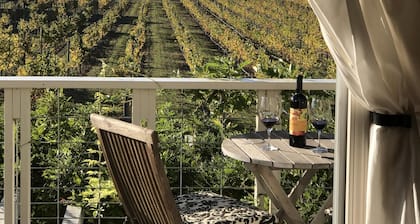 In the Heart of Los Olivos- Luxury Wine Country- on our Vineyard!