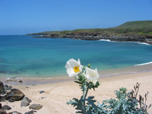 Molokai Sunset Getaway Kaikki uusitut