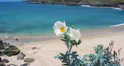 Molokai Sunset Getaway Kaikki uusitut