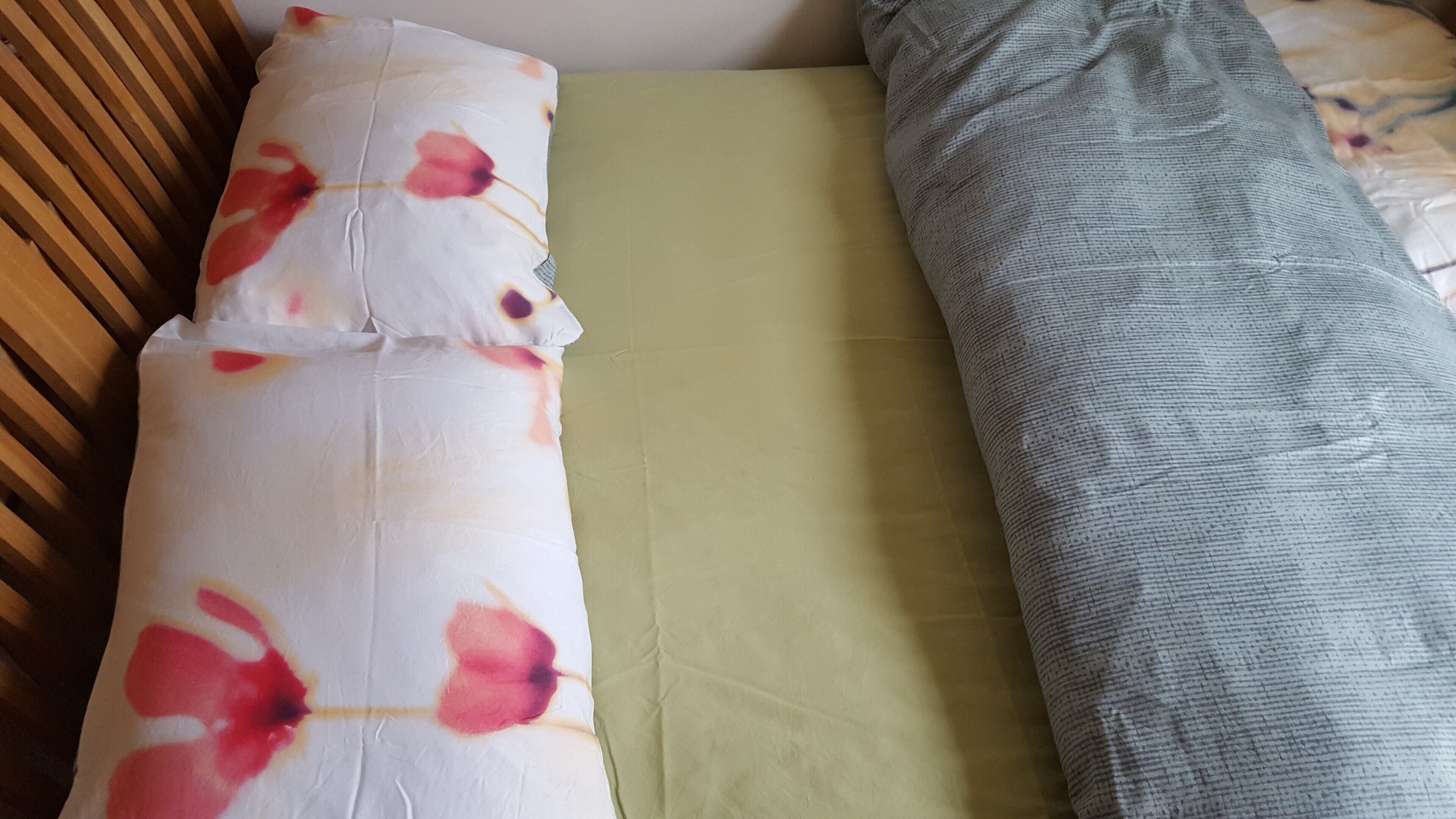 Lotus Pod House; home away from home...