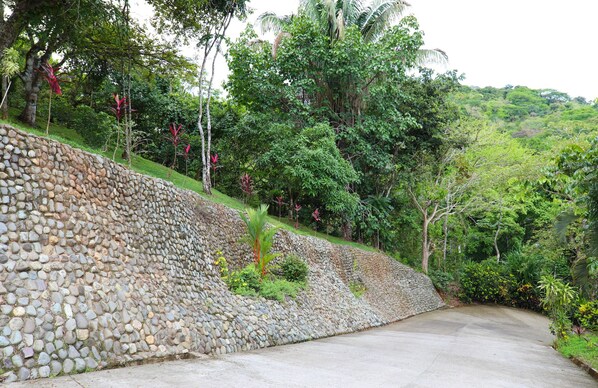 Property grounds - Private Rainforest Retreat with Infinity Pool & Concierge (Quepos)