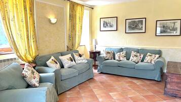 Télévision, cheminée, lecteur de DVD, livres