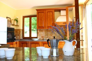 Frigorífic, forn, placa de cuina i rentaplats 