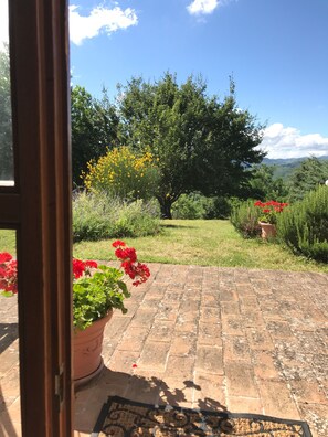 Àrea exterior de l'allotjament