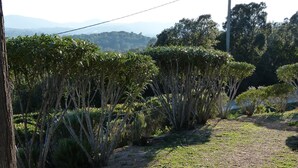 A gravel path with sparse grass and various shrubs and small trees. - Detached house with beautiful sea view, enclosed garden and garage  (Zonza)