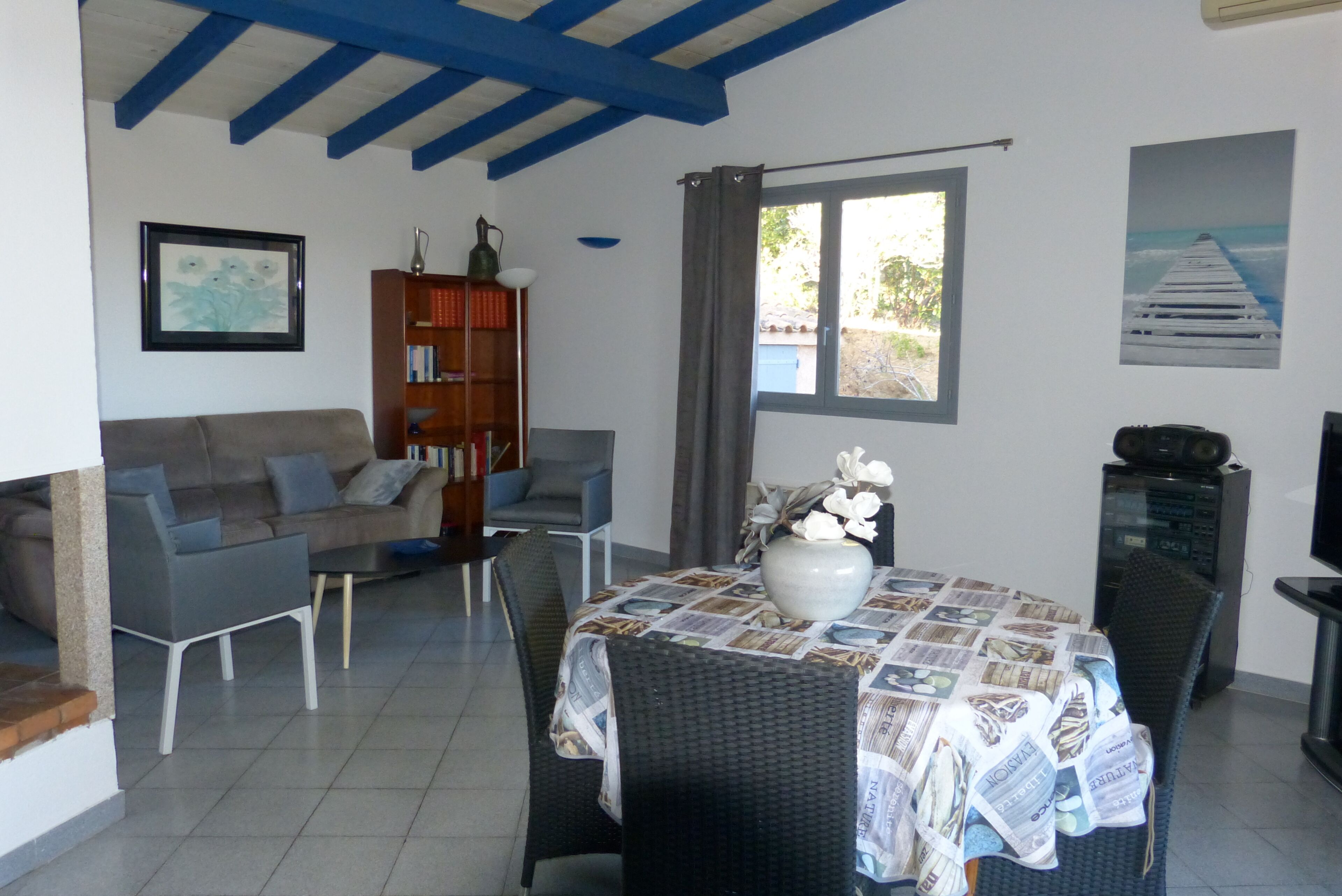 TV connectée, cheminée, lecteur de DVD, livres