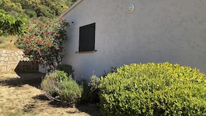 A white building with a window and a small circular window on the wall. - Detached house with beautiful sea view, enclosed garden and garage  (Zonza)