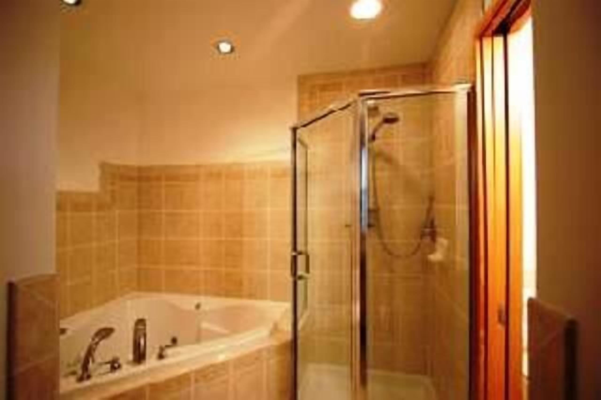 Treehouse Suite - Downtown - Walking Distance to Ferry, Stores, Restaurants! 