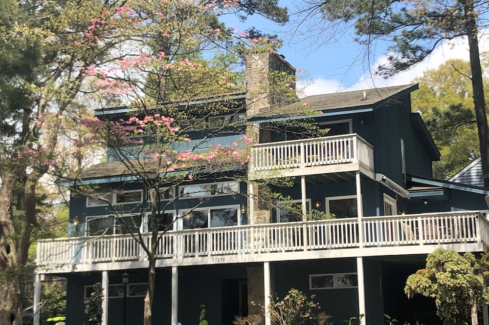 Luxurious Comfort, Spectacular Views, Close to Everything + Pet Friendly!