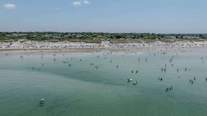 A beach with clear water, people swimming, and beach umbrellas. - Amazing Backyard, Spacious, Dog Friendly! (Dennis)