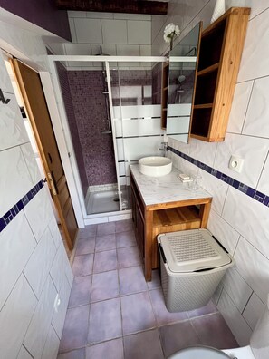 Shower, hair dryer, soap, toilet paper