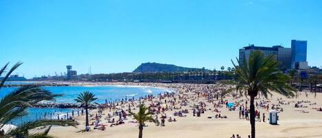 Una spiaggia nelle vicinanze