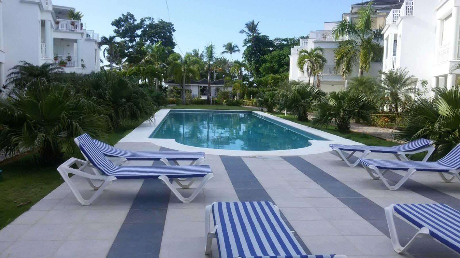 A swimming pool with lounge chairs and palm trees.