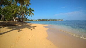 Ein Strand mit klarem, blauem Wasser, Palmen und einer entfernten Insel.