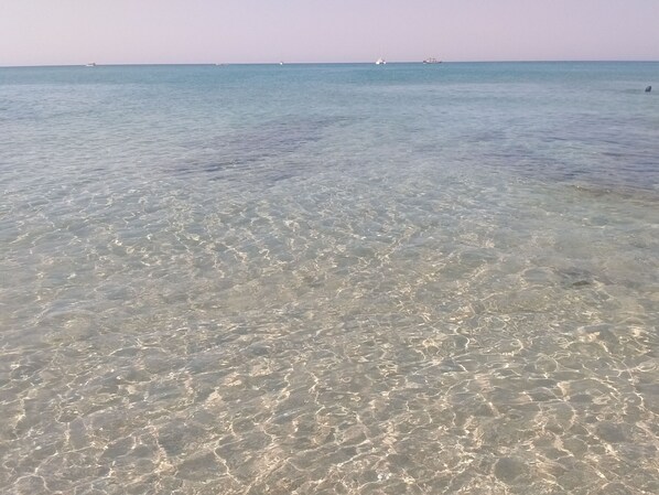 Plage à proximité