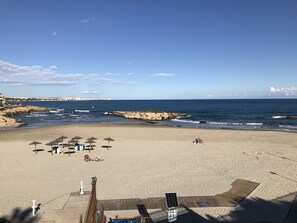 Plage à proximité, chaises longues, serviettes de plage