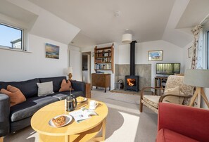 TV, fireplace, DVD player, books