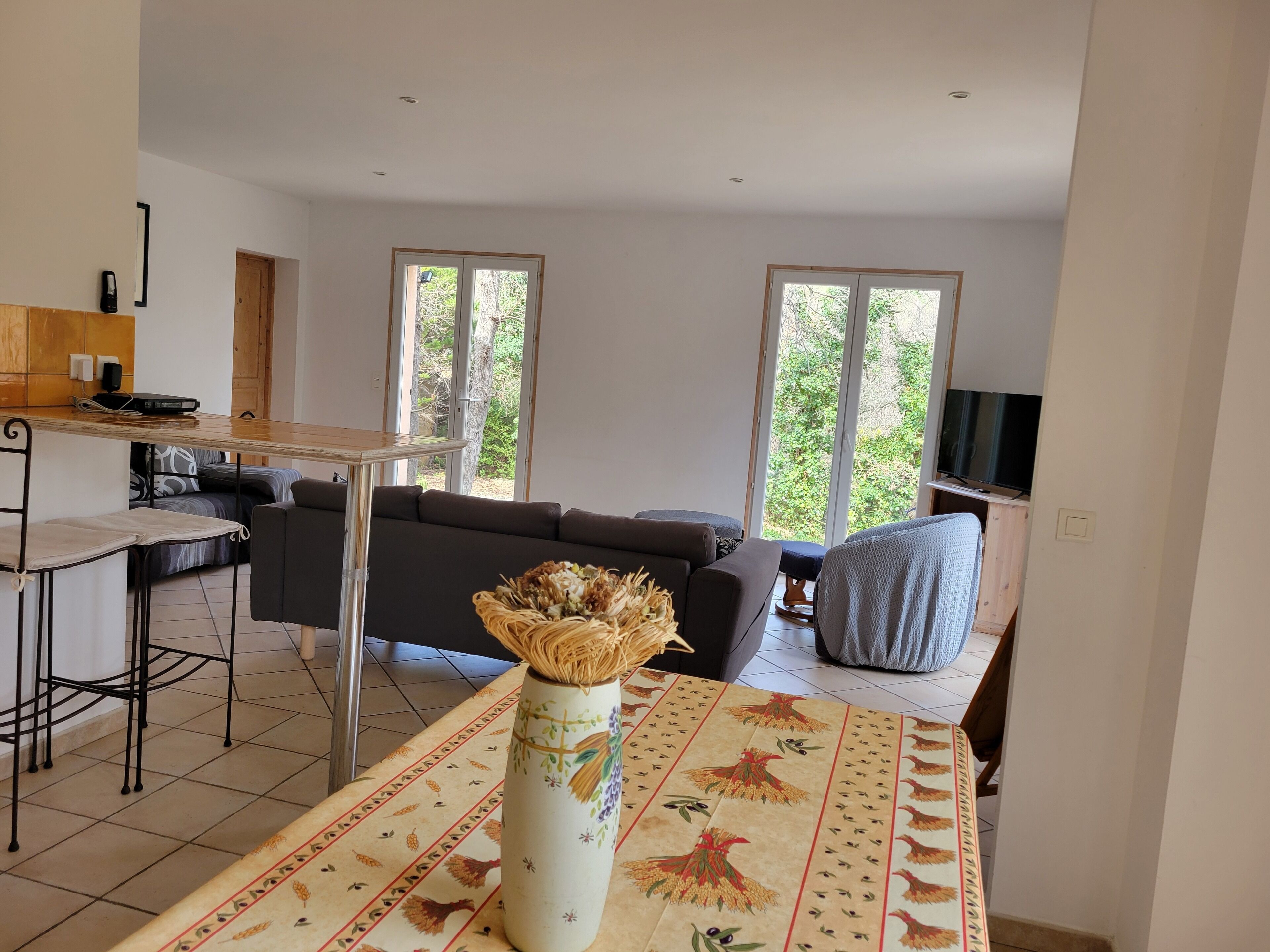 TV connectée, lecteur de DVD, table de tennis de table, chaîne hi-fi