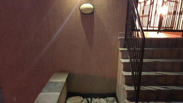 Un bac à fleurs étroit, bordé de pierres, contenant une petite plante et quelques rochers, situé à côté d’un escalier doté de rampes en métal.