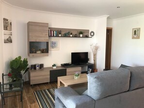 Télévision, lecteur de DVD, livres, vidéothèque